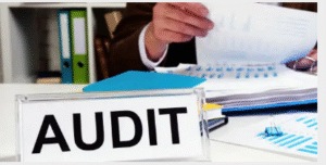 expert NDIS audit support