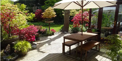 outdoor umbrella